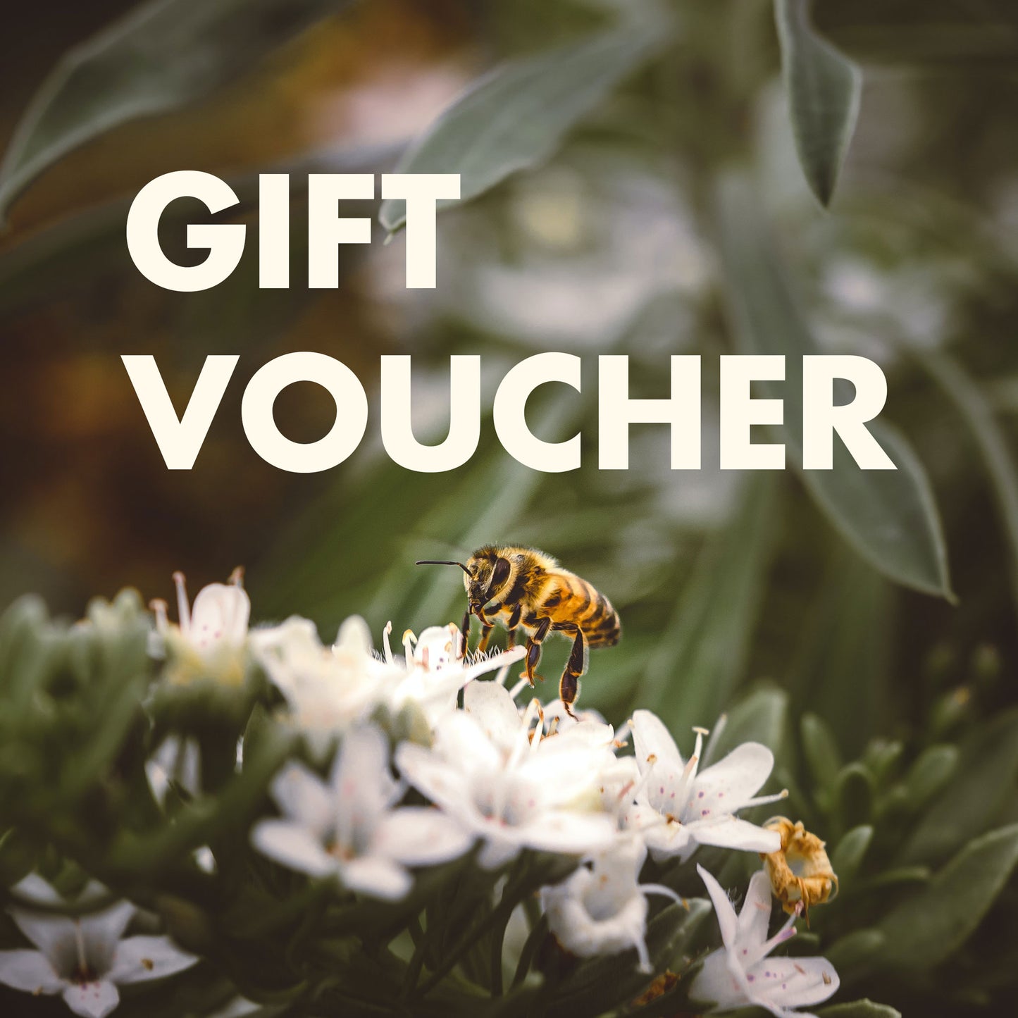 Gift Voucher